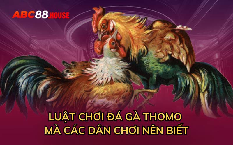 Luật chơi đá gà thomo mà các dân chơi nên biết